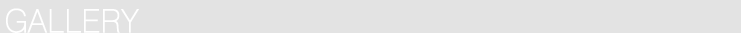 ギャラリー